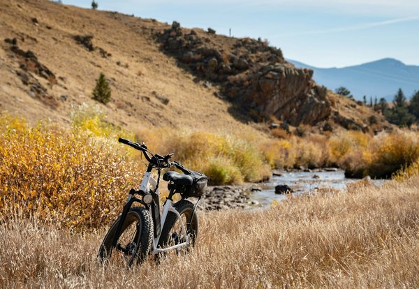 How do I replace the rear shock absorber on a Moto Guzzi California Touring?